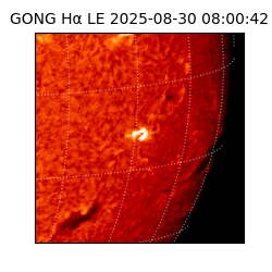 gong - 2025-08-30T08:00:42