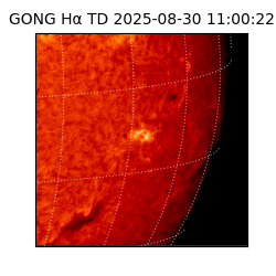 gong - 2025-08-30T11:00:22
