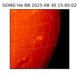 gong - 2025-08-30T15:00:02