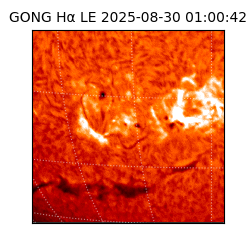 gong - 2025-08-30T01:00:42