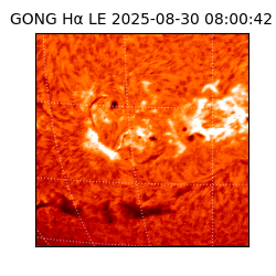 gong - 2025-08-30T08:00:42