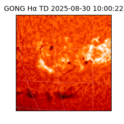 gong - 2025-08-30T10:00:22