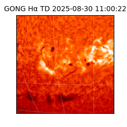 gong - 2025-08-30T11:00:22