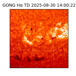 gong - 2025-08-30T14:00:22