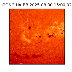 gong - 2025-08-30T15:00:02