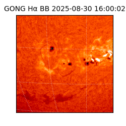 gong - 2025-08-30T16:00:02