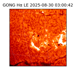 gong - 2025-08-30T03:00:42