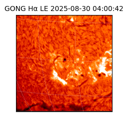 gong - 2025-08-30T04:00:42