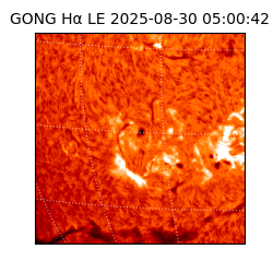 gong - 2025-08-30T05:00:42