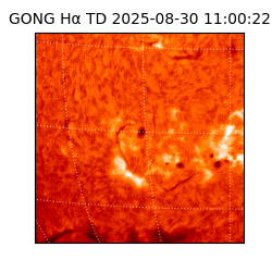 gong - 2025-08-30T11:00:22