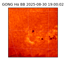 gong - 2025-08-30T19:00:02