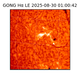 gong - 2025-08-30T01:00:42