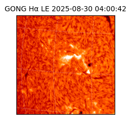 gong - 2025-08-30T04:00:42