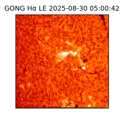 gong - 2025-08-30T05:00:42