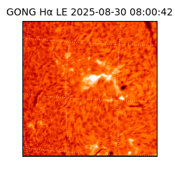 gong - 2025-08-30T08:00:42