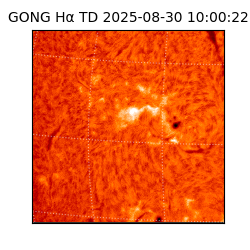 gong - 2025-08-30T10:00:22