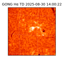 gong - 2025-08-30T14:00:22