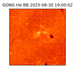 gong - 2025-08-30T19:00:02