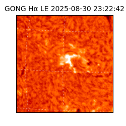 gong - 2025-08-30T23:22:42