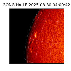 gong - 2025-08-30T04:00:42