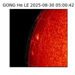gong - 2025-08-30T05:00:42