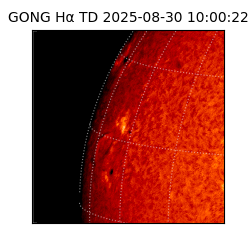 gong - 2025-08-30T10:00:22