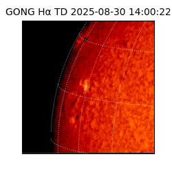 gong - 2025-08-30T14:00:22