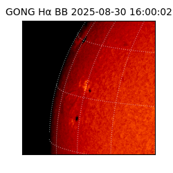 gong - 2025-08-30T16:00:02
