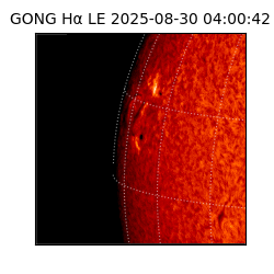 gong - 2025-08-30T04:00:42
