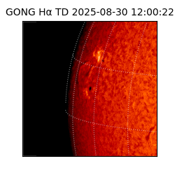 gong - 2025-08-30T12:00:22