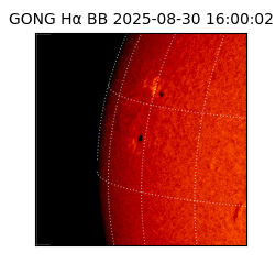gong - 2025-08-30T16:00:02