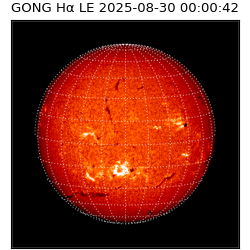 gong - 2025-08-30T00:00:42