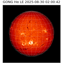 gong - 2025-08-30T02:00:42