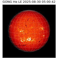 gong - 2025-08-30T05:00:42