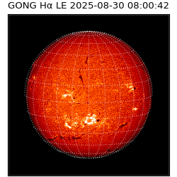 gong - 2025-08-30T08:00:42