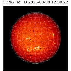 gong - 2025-08-30T12:00:22