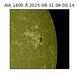 saia - 2025-08-31T04:00:14.126000