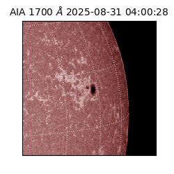 saia - 2025-08-31T04:00:28.718000