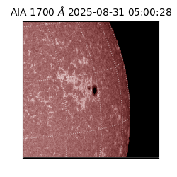 saia - 2025-08-31T05:00:28.719000