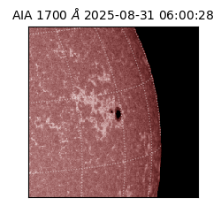 saia - 2025-08-31T06:00:28.718000