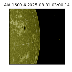 saia - 2025-08-31T03:00:14.125000