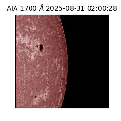 saia - 2025-08-31T02:00:28.717000