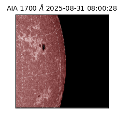 saia - 2025-08-31T08:00:28.718000