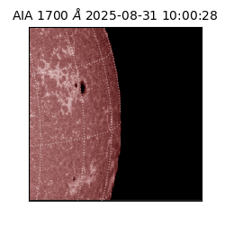 saia - 2025-08-31T10:00:28.717000