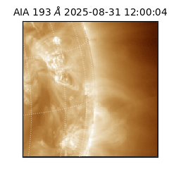 saia - 2025-08-31T12:00:04.843000