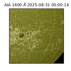 saia - 2025-08-31T05:00:14.125000