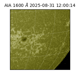 saia - 2025-08-31T12:00:14.126000