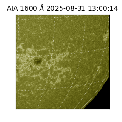 saia - 2025-08-31T13:00:14.126000
