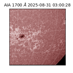saia - 2025-08-31T03:00:28.717000