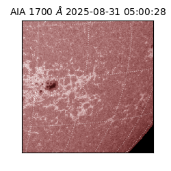 saia - 2025-08-31T05:00:28.719000